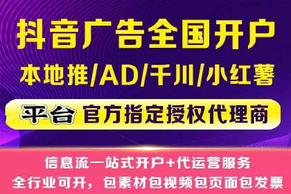 SEM代运营经典案例解析与启示